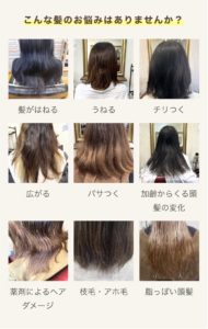 シードヘアメイク 多摩センター店(Seed hair make)｜ロイヤル髪質改善カラー